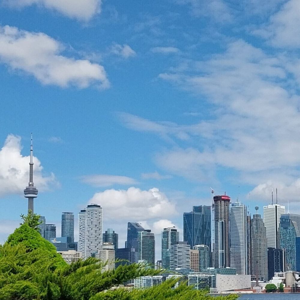 Late Bloomer Wow About