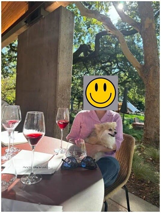 Chandon Wine Tasting