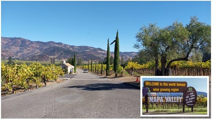 San Francisco to Napa Valley Day Trip: View of Napa Valley vineyards 
