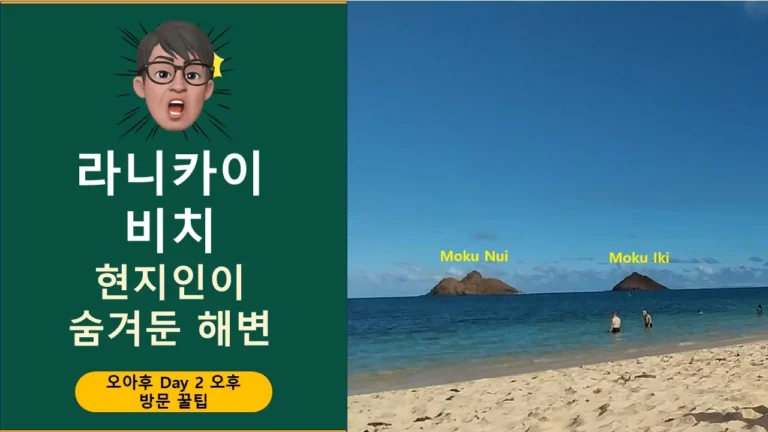 하와이 오아후 2일차 오후에 방문한 라니카이 비치를 즐기는 팁을 설명하는 대표 이미지