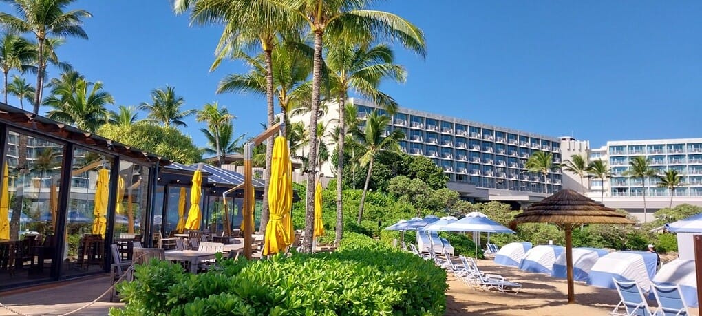 Turtle Bay Resort Beach Oahu North Shore yellow umbrellas palm trees