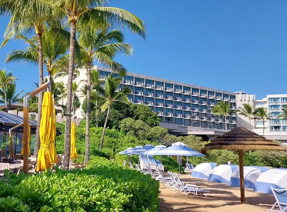 Brightly colored beach umbrellas and tall palm trees lining the shore of Turtle Bay Resort on an Oahu North Shore day trip