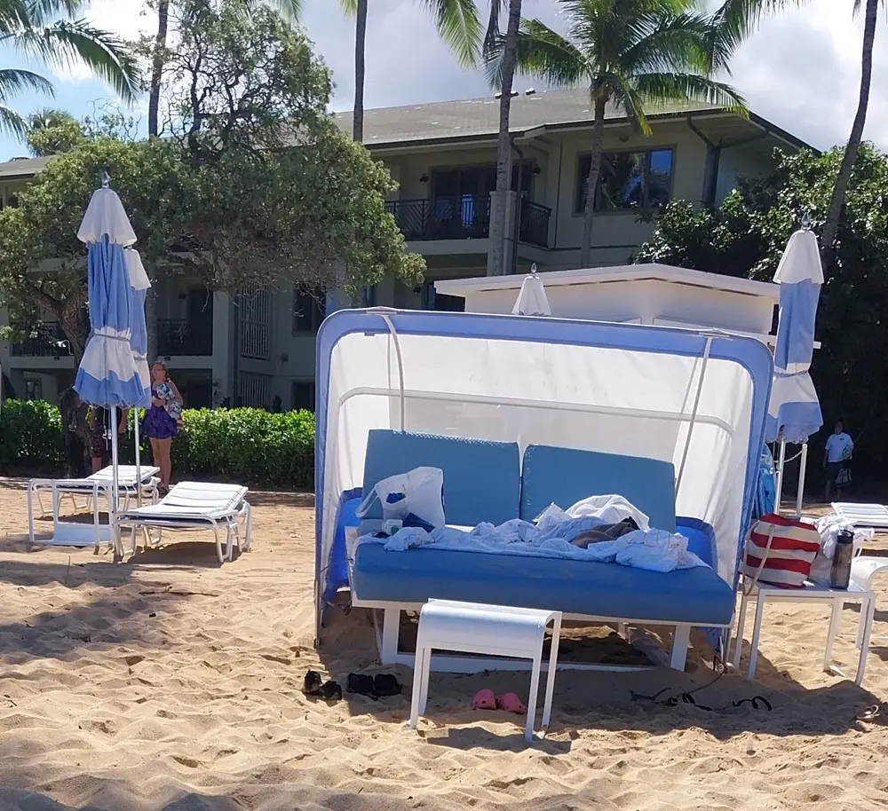 Premium beach umbrellas and lounge chairs neatly set up for rent on the sand during an Oahu North Shore day trip