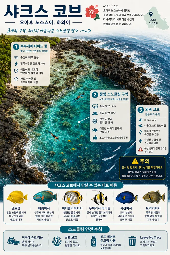 하와이 오아후 3일차 스노클링 명소인 샤크스 코브의 지형을 보여주는 인포그래픽