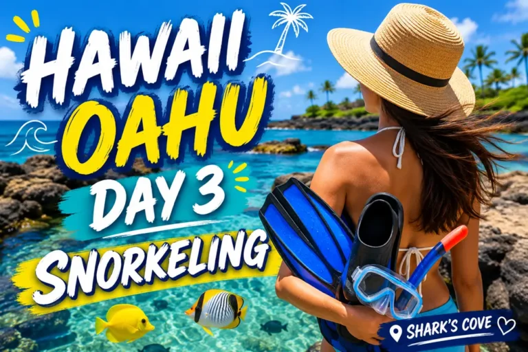 Hawaii Oahu day3-snorkeling-Shark's-Cove-thumbnail