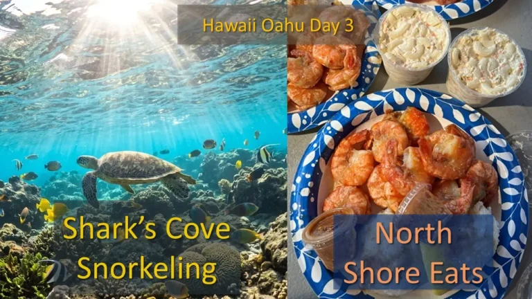 Oahu Hawaii Day 3 itinerary featuring Shark's Cove safety snorkeling guide and famous North Shore eats