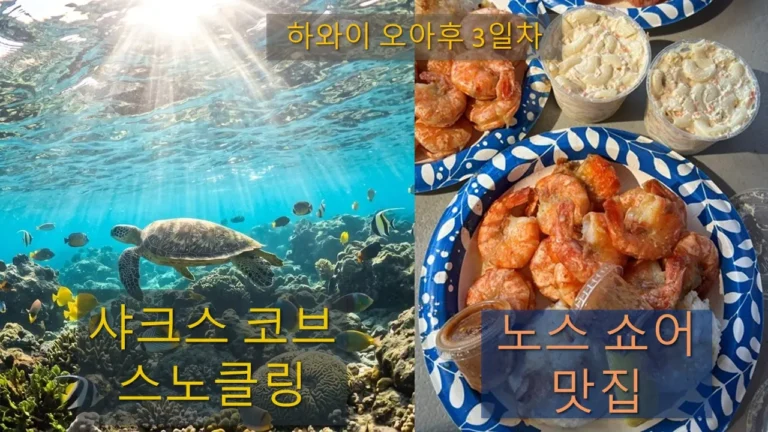 하와이 오아후 여행 3일차 샤크스 코브 안전 스노클링 가이드와 노스쇼어 맛집 투어 코스